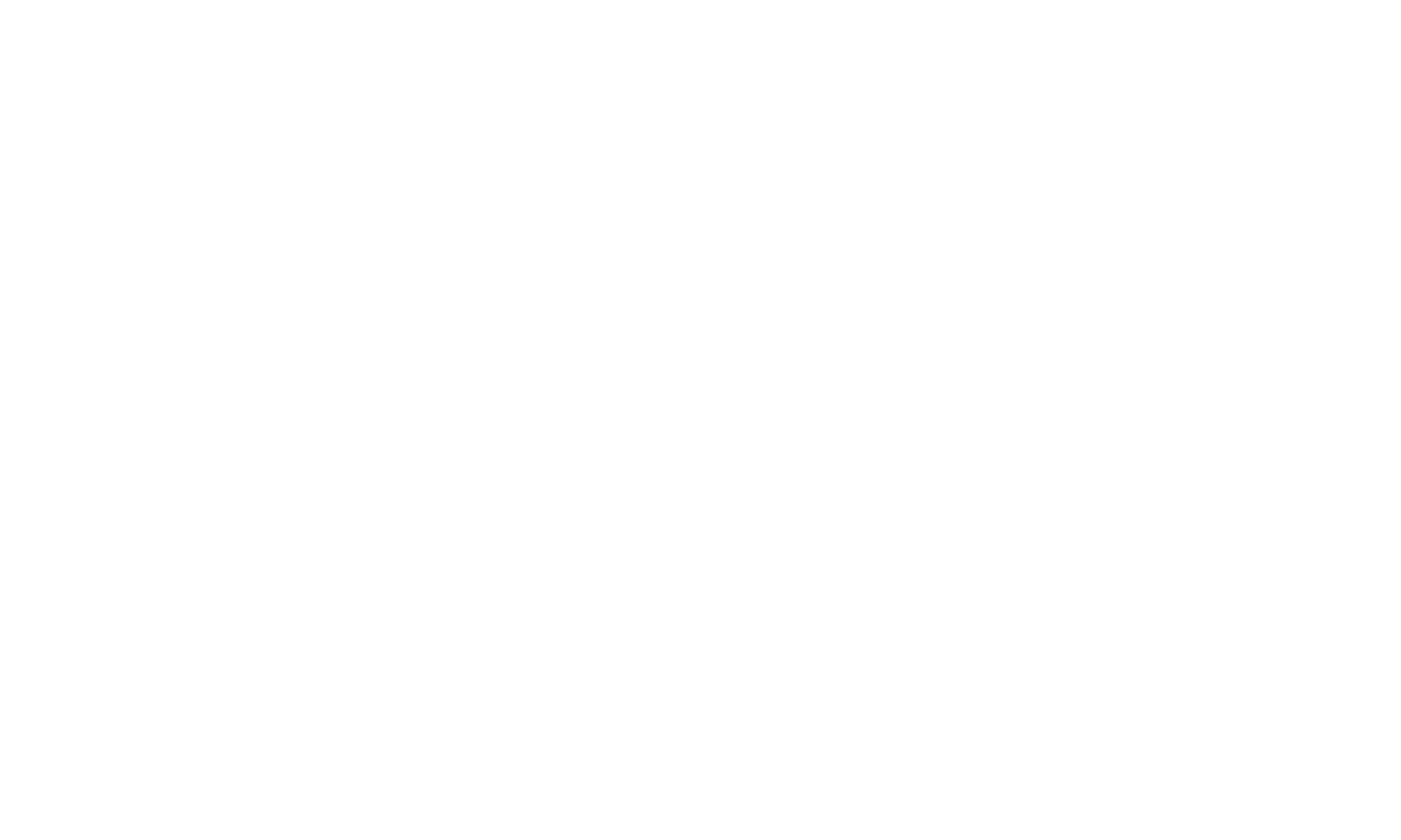 RISSD (Research Institute of Smart System Design )